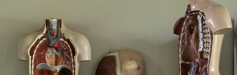 保护肝胆的一些方法建议